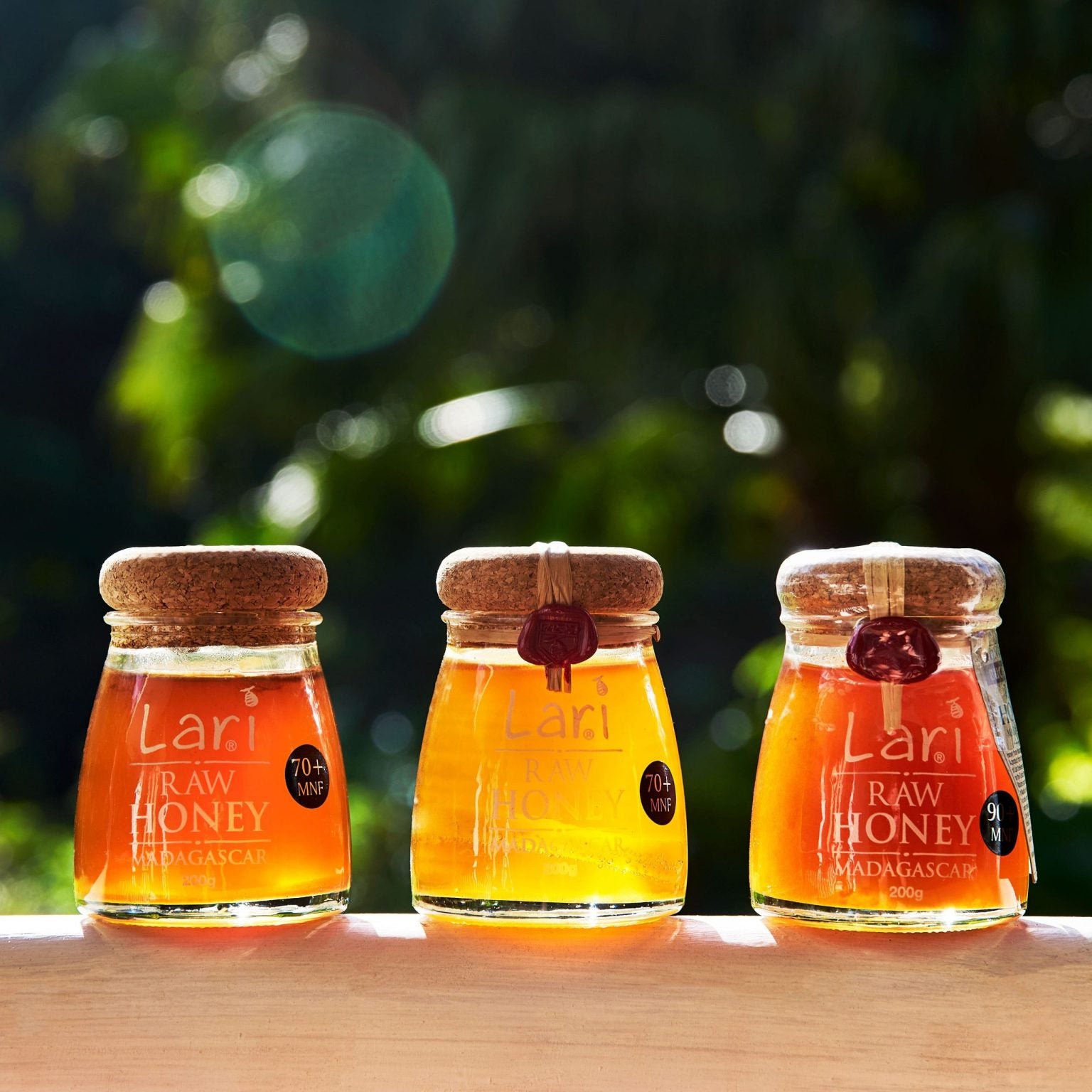 Do you know how bees make honey?