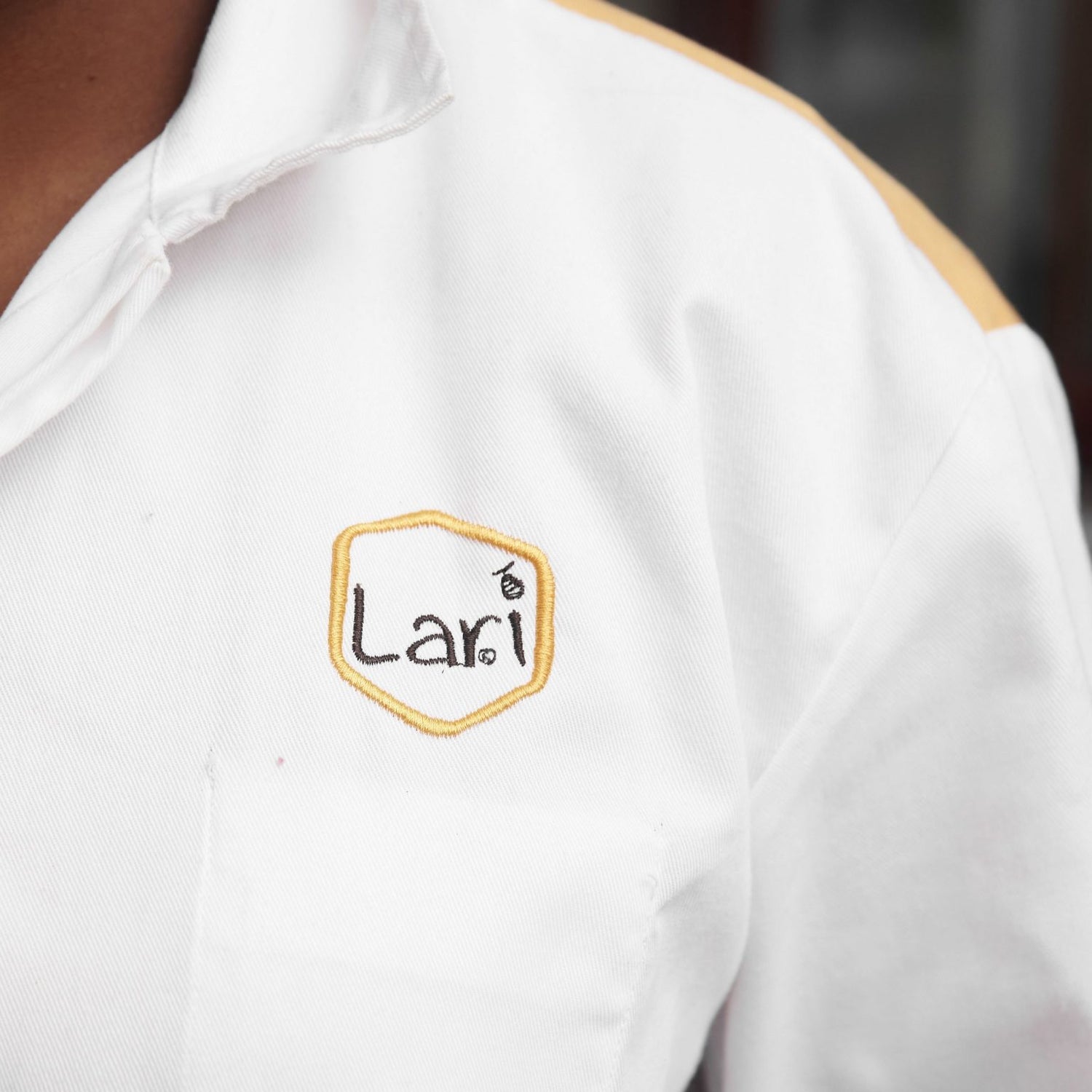 Origin of the Name Lari